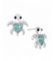 Liavys Sea Turtle Fashionable Earrings