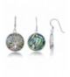 Sterling Silver Natural Abalone Earrings