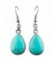 SUNYIK Turquoise Teardrop Earrings Fishhook