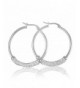 Silver Earrings Crystals Accents Stainless