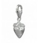 SilberDream strawberry Sterling Charms FC3022W