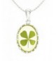 Four leaf Shamrock Crystal Elegant Necklace