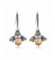 WOSTU Crystal Earrings Sterling Hypoallergenic