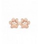 Rosa Vila Dog Paw Earrings