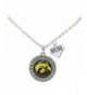 Hawkeyes Silver Crystal Necklace Jewelry