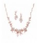 Mariell Elegant Necklace Earrings Weddings