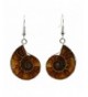 Justinstones Natural Ammonite Fossil Earrings