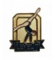 DGS Level 7 Gymnastics Pin