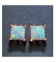 Women's Stud Earrings