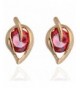 YAZILIND Charming Plated Zirconia Earrings