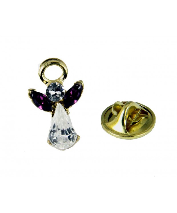 6030598 February Crystal Guardian Brooch