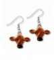 Enamel Jersey Earrings Magic Zoo