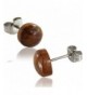 Earth Accessories Stainless Rounded Earrings