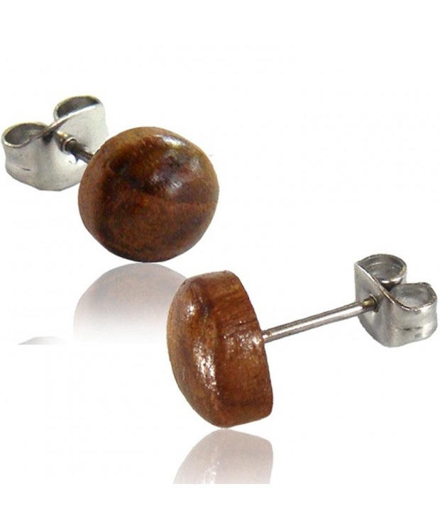 Earth Accessories Stainless Rounded Earrings