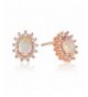 GEMSME Plated Created Zirconia Earrings