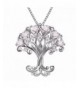 Sterling Silver Zirconia Pendant Necklace