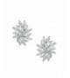 EVER FAITH Zirconia Earrings Silver Tone