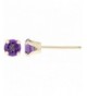 Purple Amethyst Yellow Birthstone Earrings