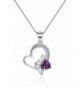 February Birthstone Necklace Amethyst Necklaces