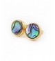 ZENGORI Natural Abalone Plated Earrings