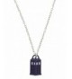 Doctor Who 839546269363 TARDIS Necklace