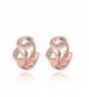 Infinity Zirconia Romance Earrings DreamSter