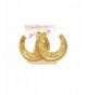 Egyptian Hoop Earrings Gold Medallion