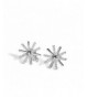 KOREA JIAEN Flower Earrings Sterling earrings