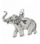 Sterling Silver Elephant Raised Approximately