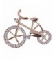 YAZILIND Unique Design Bicycle Brooch