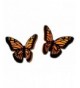 Sienna Sky Monarch Butterfly Earrings