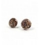 Cheetah Animal Glitter Earrings Stainless