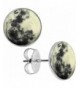 Body Candy Stainless Steel Earrings