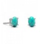 Sterling Silver Earrings 4x6mm Turquoise