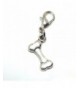 Pro Jewelry Clip Charm Dangling