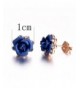 Women's Stud Earrings