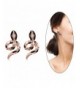 Eternity J Plated Color Earrings