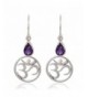 Sterling Silver Symbolic Amethyst Earrings Nickel