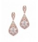 Mariell Zirconia Wedding Occasion Earrings