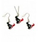 Houston Texans Necklace Dangle Earring