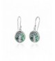 Sterling Silver Abalone Polished Earrings