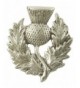 Heavy Scottish Thistle Pewter Pin