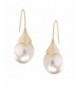 Humble Chic Teardrop Simulated Dangles