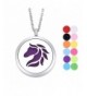 Essential Diffuser Necklace Aromatherapy Stainless