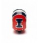 University Illinois Charm Fighting Illini