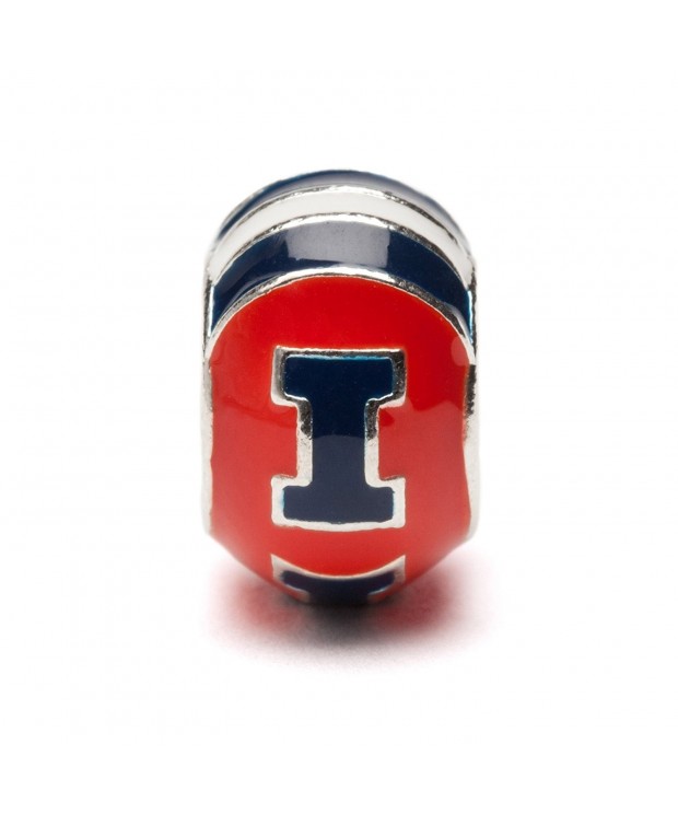 University Illinois Charm Fighting Illini