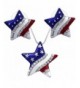 American Flag Pendant Necklace Earrings