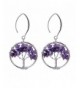 Amethyst Gemstone Wrapped Handmade Earrings