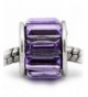 Birthstone European Chamilia Compatible FEBRUARY