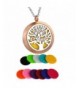 HooAMI Aromatherapy Essential Diffuser Necklace